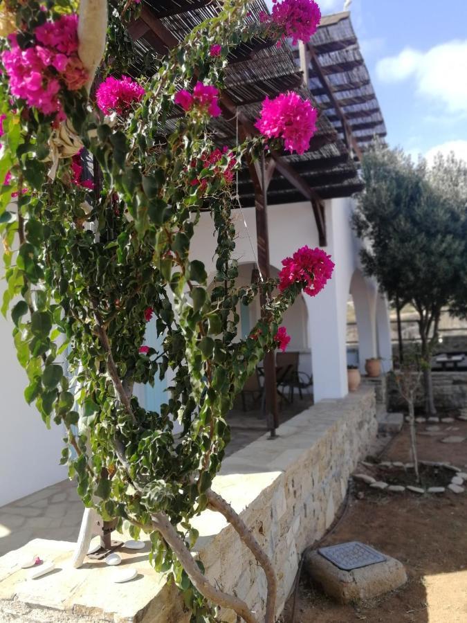Gio St Gio Apartment 1 Antiparos St.Giorgio Εξωτερικό φωτογραφία