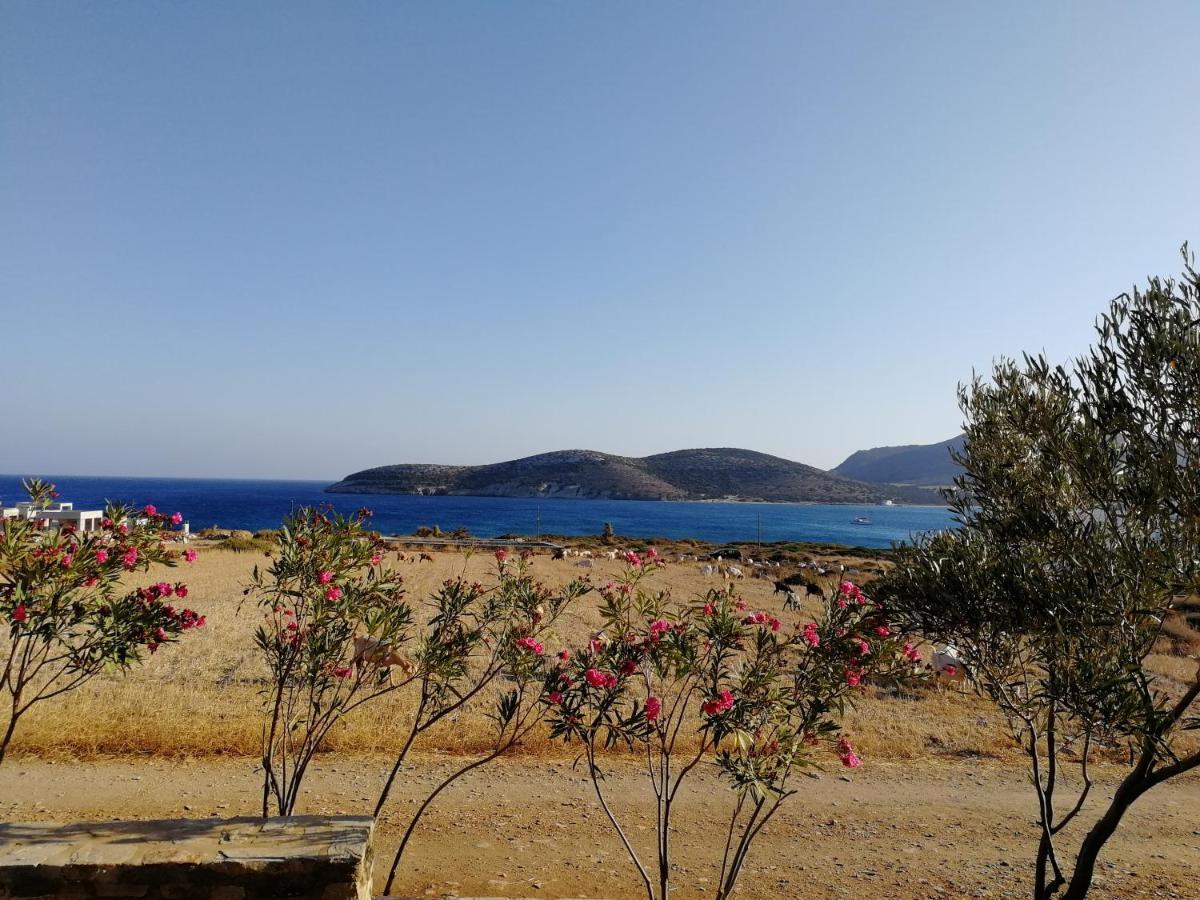 Gio St Gio Apartment 1 Antiparos St.Giorgio Εξωτερικό φωτογραφία